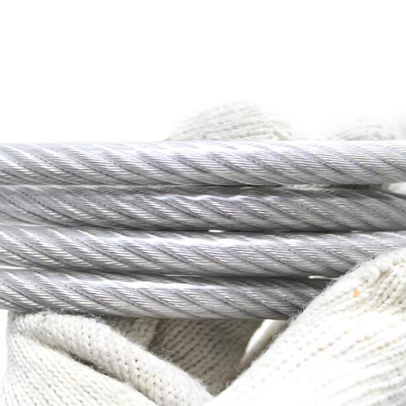 Nylon Coated Wire Rope 7*7 Ss  - đánh giá và giá Stainless Wire Ss316