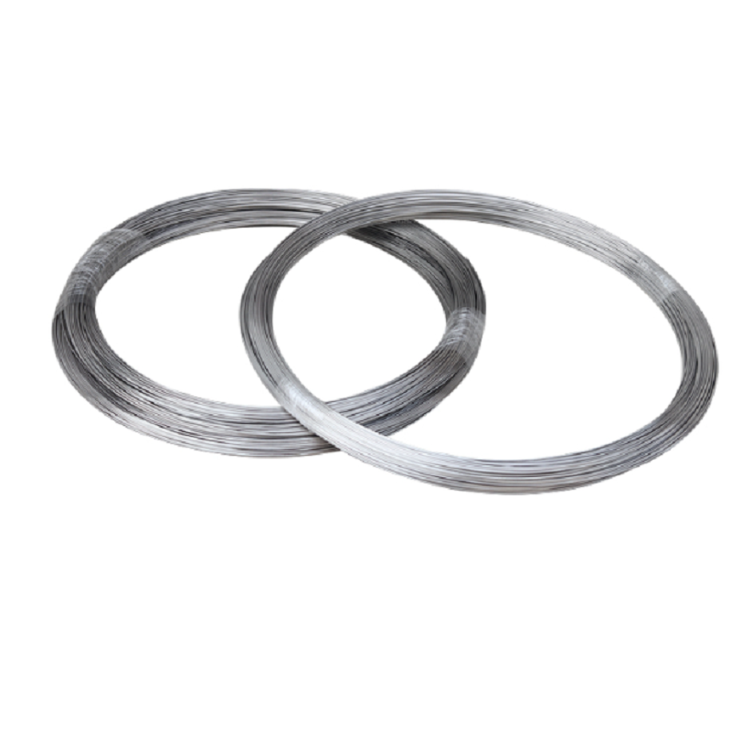 316 Stainless Steel Wire Boat  - đánh giá và giá Stainless Wire Ss316